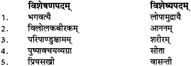 RBSE Solutions for Class 12 Sanskrit विजेत्र Chapter 10 कारुण्यं रामभद्रस्य 10