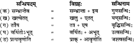 RBSE Solutions for Class 12 Sanskrit विजेत्र Chapter 10 कारुण्यं रामभद्रस्य 2