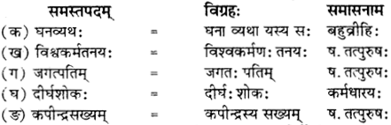 RBSE Solutions for Class 12 Sanskrit विजेत्र Chapter 10 कारुण्यं रामभद्रस्य 3