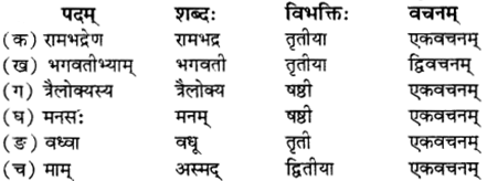 RBSE Solutions for Class 12 Sanskrit विजेत्र Chapter 10 कारुण्यं रामभद्रस्य 4