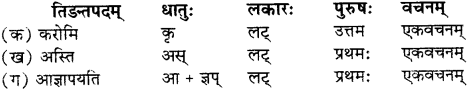 RBSE Solutions for Class 12 Sanskrit विजेत्र Chapter 10 कारुण्यं रामभद्रस्य 5