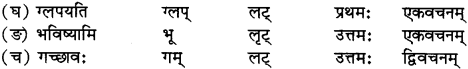 RBSE Solutions for Class 12 Sanskrit विजेत्र Chapter 10 कारुण्यं रामभद्रस्य 6