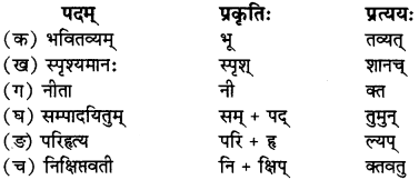 RBSE Solutions for Class 12 Sanskrit विजेत्र Chapter 10 कारुण्यं रामभद्रस्य 7