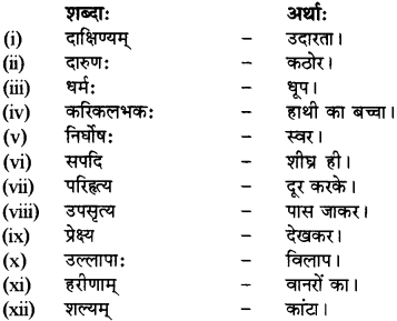 RBSE Solutions for Class 12 Sanskrit विजेत्र Chapter 10 कारुण्यं रामभद्रस्य 8
