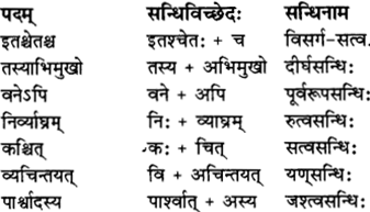 RBSE Solutions for Class 12 Sanskrit विजेत्र Chapter 11 नीत्या स्वकार्यं साधनीयम् 1