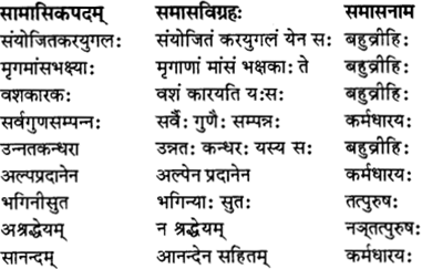 RBSE Solutions for Class 12 Sanskrit विजेत्र Chapter 11 नीत्या स्वकार्यं साधनीयम् 2