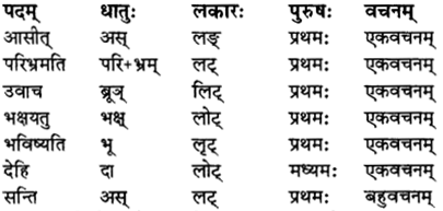 RBSE Solutions for Class 12 Sanskrit विजेत्र Chapter 11 नीत्या स्वकार्यं साधनीयम् 4