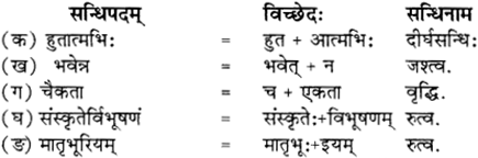 RBSE Solutions for Class 12 Sanskrit विजेत्र Chapter 12 मातृवन्दना-गीतिः 2