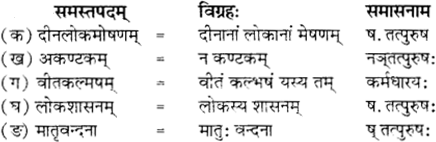 RBSE Solutions for Class 12 Sanskrit विजेत्र Chapter 12 मातृवन्दना-गीतिः 3