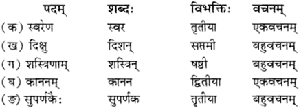 RBSE Solutions for Class 12 Sanskrit विजेत्र Chapter 12 मातृवन्दना-गीतिः 4