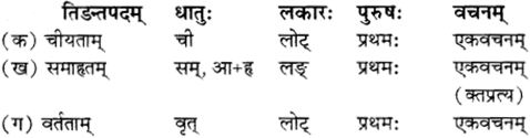 RBSE Solutions for Class 12 Sanskrit विजेत्र Chapter 12 मातृवन्दना-गीतिः 5