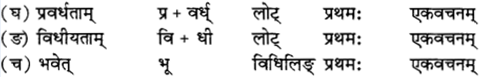 RBSE Solutions for Class 12 Sanskrit विजेत्र Chapter 12 मातृवन्दना-गीतिः 6
