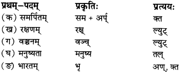 RBSE Solutions for Class 12 Sanskrit विजेत्र Chapter 12 मातृवन्दना-गीतिः 7