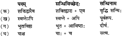 RBSE Solutions for Class 12 Sanskrit विजेत्र Chapter 13 सङ्घ शक्तिः 1