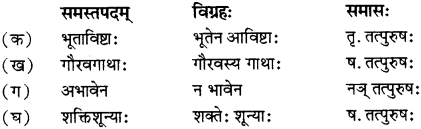RBSE Solutions for Class 12 Sanskrit विजेत्र Chapter 13 सङ्घ शक्तिः 2