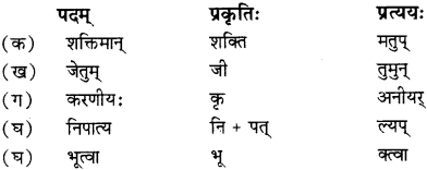RBSE Solutions for Class 12 Sanskrit विजेत्र Chapter 13 सङ्घ शक्तिः 4
