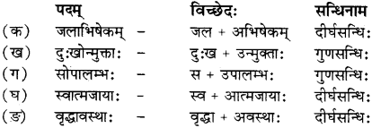 RBSE Solutions for Class 12 Sanskrit विजेत्र Chapter 14 पितामही मिलिता 1