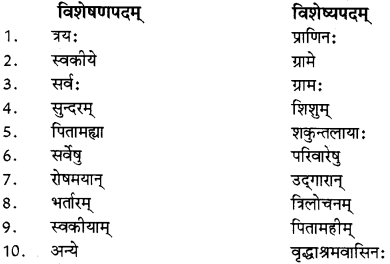 RBSE Solutions for Class 12 Sanskrit विजेत्र Chapter 14 पितामही मिलिता 10