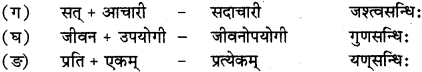RBSE Solutions for Class 12 Sanskrit विजेत्र Chapter 14 पितामही मिलिता 3