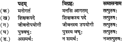 RBSE Solutions for Class 12 Sanskrit विजेत्र Chapter 14 पितामही मिलिता 4