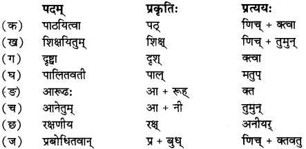 RBSE Solutions for Class 12 Sanskrit विजेत्र Chapter 14 पितामही मिलिता 5