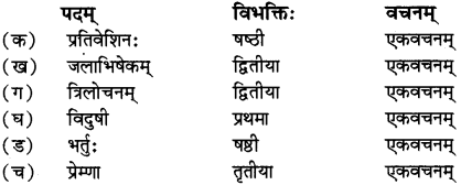 RBSE Solutions for Class 12 Sanskrit विजेत्र Chapter 14 पितामही मिलिता 6