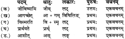 RBSE Solutions for Class 12 Sanskrit विजेत्र Chapter 14 पितामही मिलिता 7