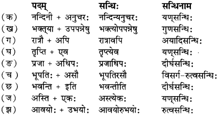 RBSE Solutions for Class 12 Sanskrit विजेत्र Chapter 7 नन्दिनीकथा 1