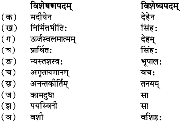 RBSE Solutions for Class 12 Sanskrit विजेत्र Chapter 7 नन्दिनीकथा 11