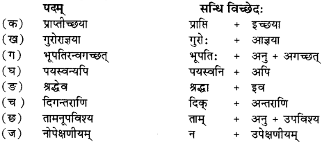 RBSE Solutions for Class 12 Sanskrit विजेत्र Chapter 7 नन्दिनीकथा 2