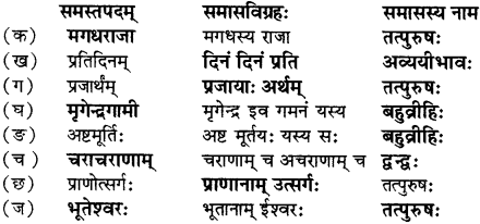 RBSE Solutions for Class 12 Sanskrit विजेत्र Chapter 7 नन्दिनीकथा 3