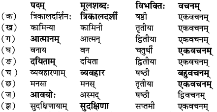 RBSE Solutions for Class 12 Sanskrit विजेत्र Chapter 7 नन्दिनीकथा 4