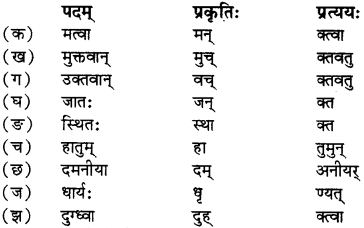 RBSE Solutions for Class 12 Sanskrit विजेत्र Chapter 7 नन्दिनीकथा 6