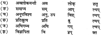 RBSE Solutions for Class 12 Sanskrit विजेत्र Chapter 7 नन्दिनीकथा 8