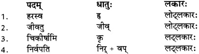 RBSE Solutions for Class 12 Sanskrit विजेत्र Chapter 8 यक्ष-युधिष्ठिरयो संवादः 5
