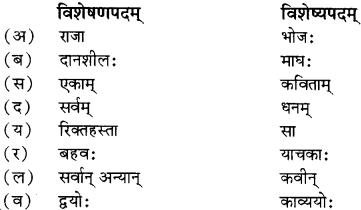 RBSE Solutions for Class 12 Sanskrit विजेत्र Chapter 9 महाकविः माघः 13