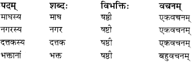 RBSE Solutions for Class 12 Sanskrit विजेत्र Chapter 9 महाकविः माघः 2
