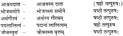 RBSE Solutions for Class 12 Sanskrit विजेत्र Chapter 9 महाकविः माघः 5