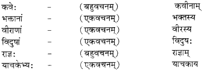 RBSE Solutions for Class 12 Sanskrit विजेत्र Chapter 9 महाकविः माघः 7