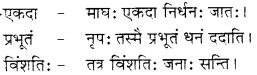 RBSE Solutions for Class 12 Sanskrit विजेत्र Chapter 9 महाकविः माघः 8