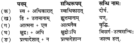 RBSE Solutions for Class 12 Sanskrit विजेत्री Chapter 5 मेघदूतपीयूषम् 1