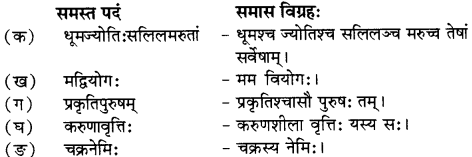RBSE Solutions for Class 12 Sanskrit विजेत्री Chapter 5 मेघदूतपीयूषम् 4