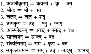 RBSE Solutions for Class 9 Sanskrit सरसा Chapter 14 कार्यं खलु साधयेयम् 3