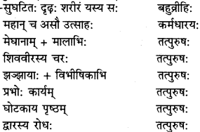 RBSE Solutions for Class 9 Sanskrit सरसा Chapter 14 कार्यं खलु साधयेयम् 4