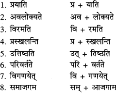 RBSE Solutions for Class 9 Sanskrit सरसा Chapter 14 कार्यं खलु साधयेयम् 8
