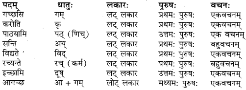 RBSE Solutions for Class 9 Sanskrit सरसा Chapter 4 संस्कृतगौरवम् 1