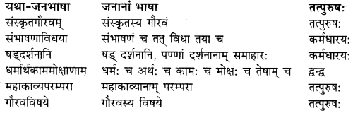 RBSE Solutions for Class 9 Sanskrit सरसा Chapter 4 संस्कृतगौरवम् 4