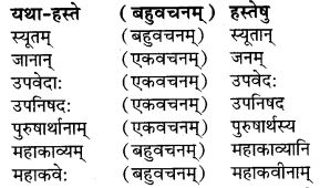 RBSE Solutions for Class 9 Sanskrit सरसा Chapter 4 संस्कृतगौरवम् 6