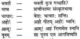 RBSE Solutions for Class 9 Sanskrit सरसा Chapter 4 संस्कृतगौरवम् 7