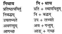 RBSE Solutions for Class 9 Sanskrit सरसा Chapter 4 संस्कृतगौरवम् 8